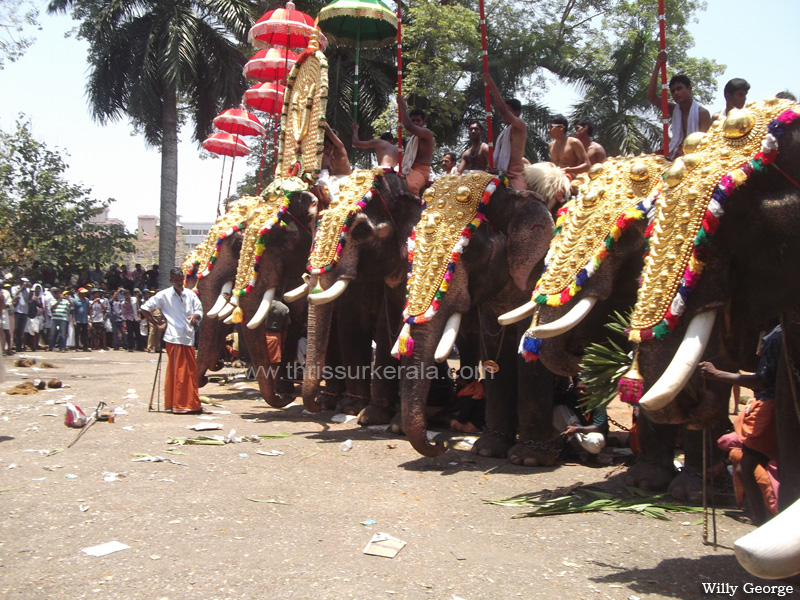 thrissur-pooram-2013-11 (9)